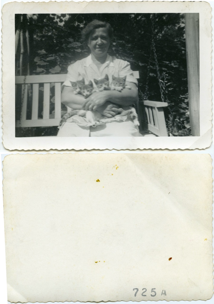 <b>1950-725A-Beda-Frances-Cats</b><br><i>1950-725A-Beda-Frances-Cats</i><br><i>Undated</i>
