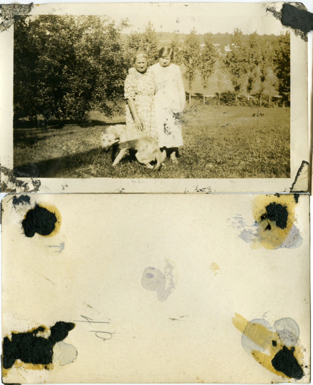 <b>Unknown-2-Women-Dog</b><br><i>Unknown-2-Women-Dog</i><br><i>Undated</i>