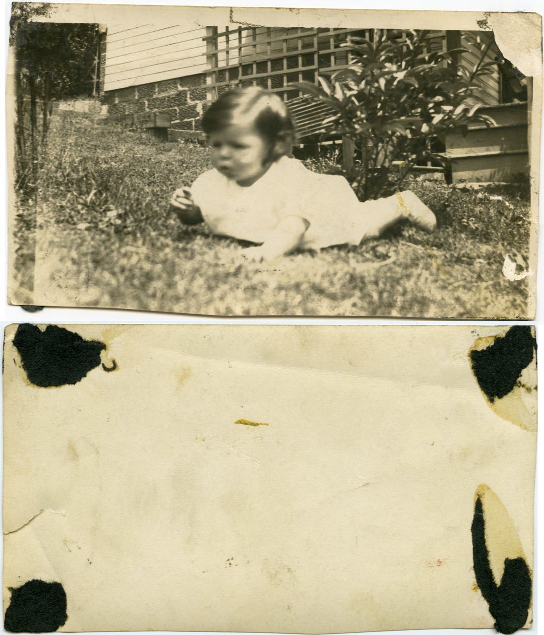 <b>Unknown-Baby-Blurry</b><br><i>Unknown-Baby-Blurry</i><br><i>Undated</i>
